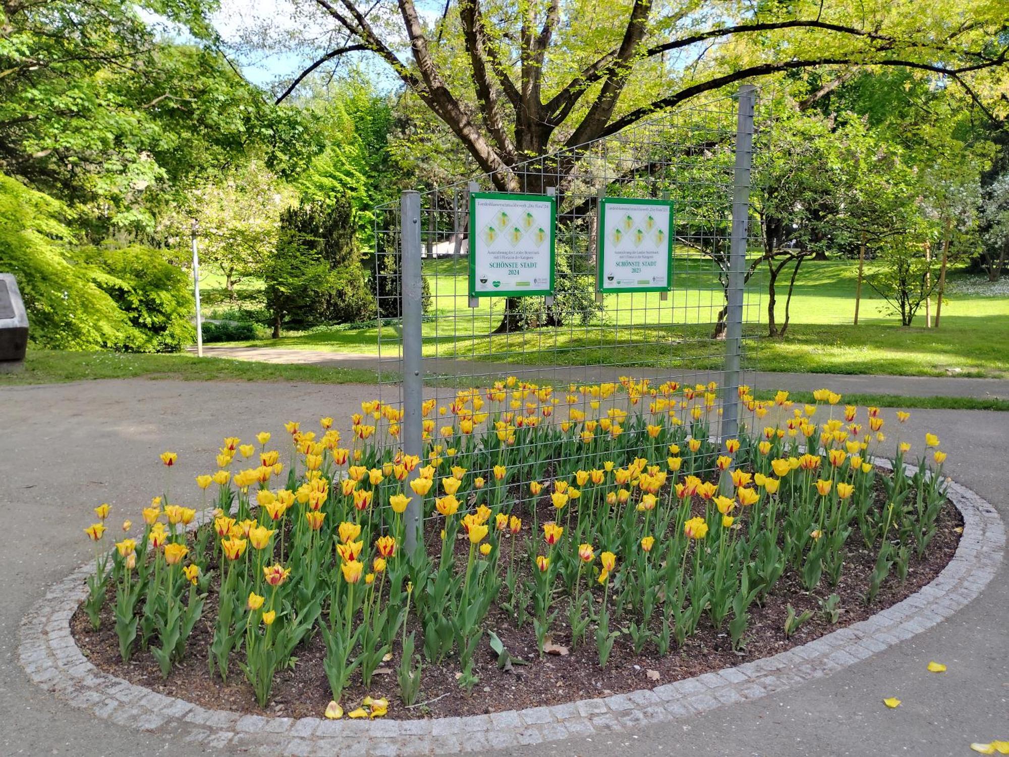 Wohnung In Leoben Zentrum Zwischen Hauptplatz Und Stadtpark Exterior photo